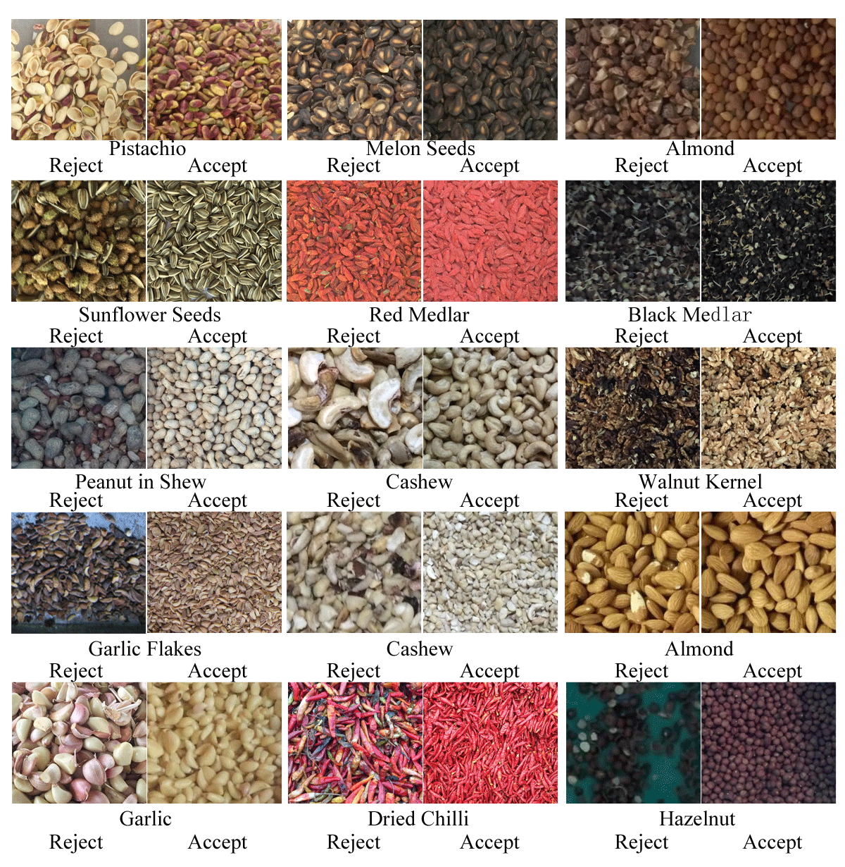 Walnuts color sorter machine Sorting Results