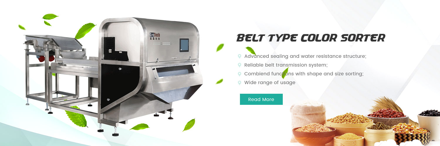 belt type color sorter machine