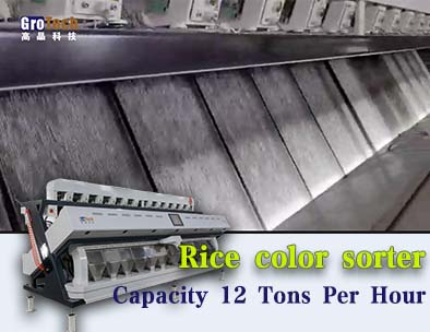 trieur de couleur à bande et trieur de couleur de goulotte à l'exposition ， capacité de trieur de couleur de riz 12 tonnes par heure
